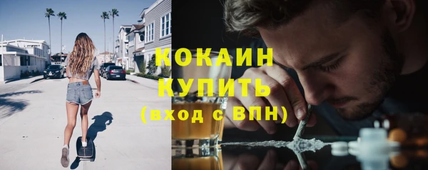 твердый Абаза