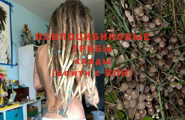 прущая мука Абинск