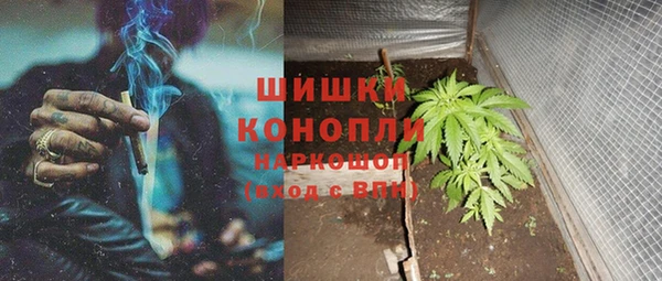 твердый Абаза