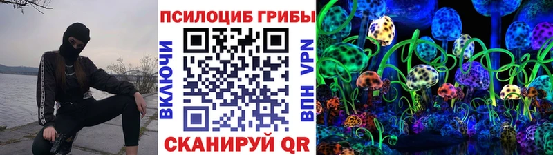 маркетплейс наркотические препараты  Поворино  Галлюциногенные грибы мухоморы  наркотики 